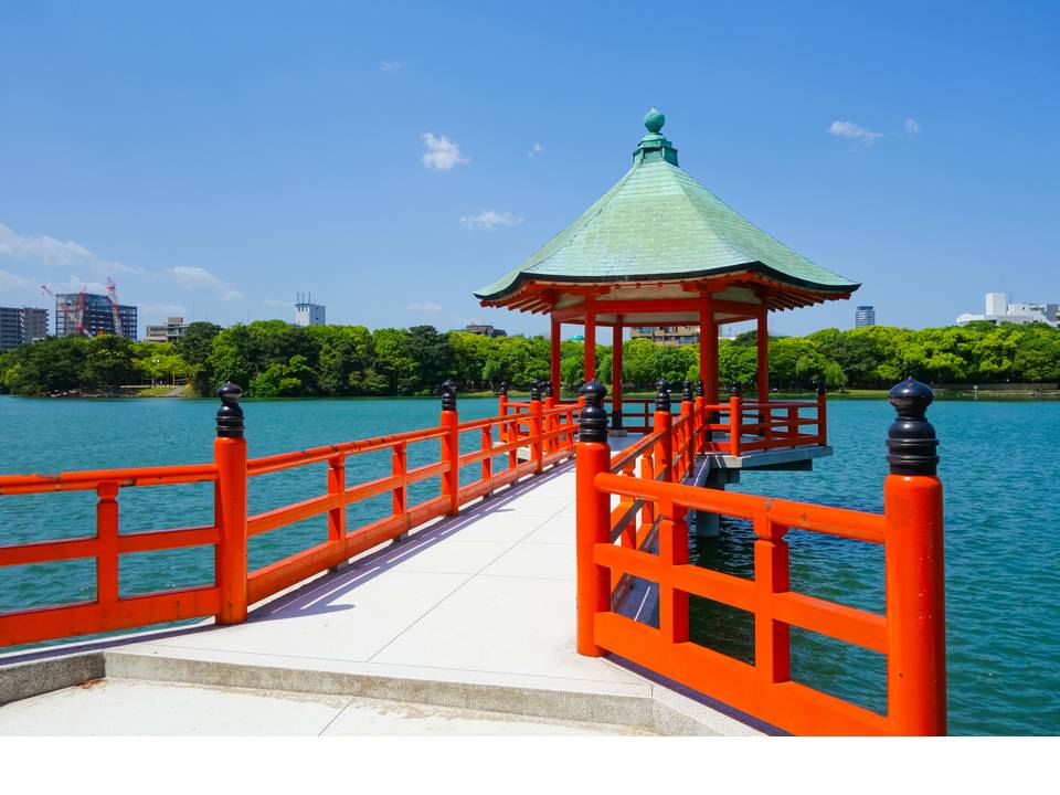 Geography Trip to Japan 